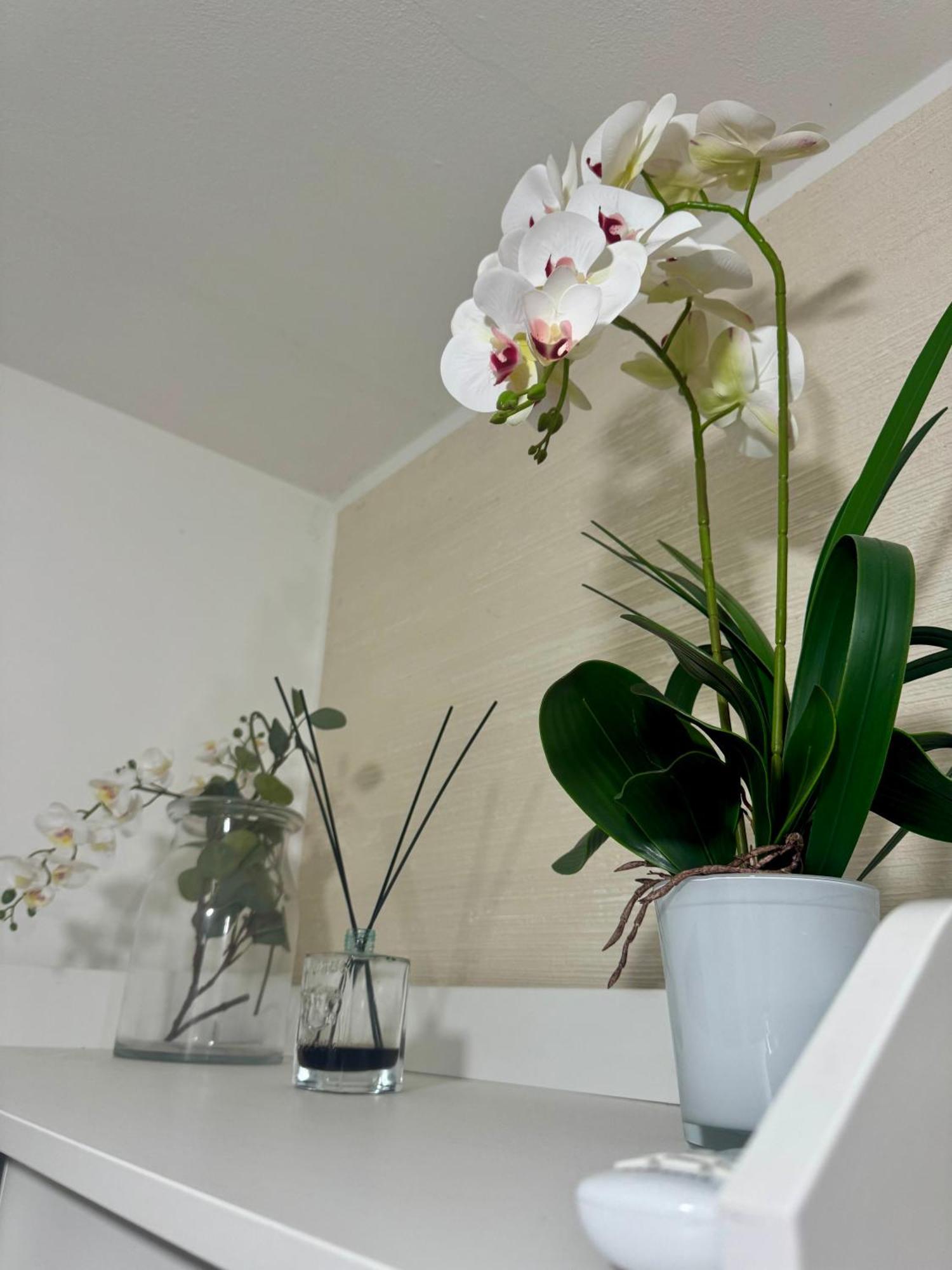 Casa Alessio - Elegante Appartamento Nel Cuore Di Cesano Maderno Exteriör bild